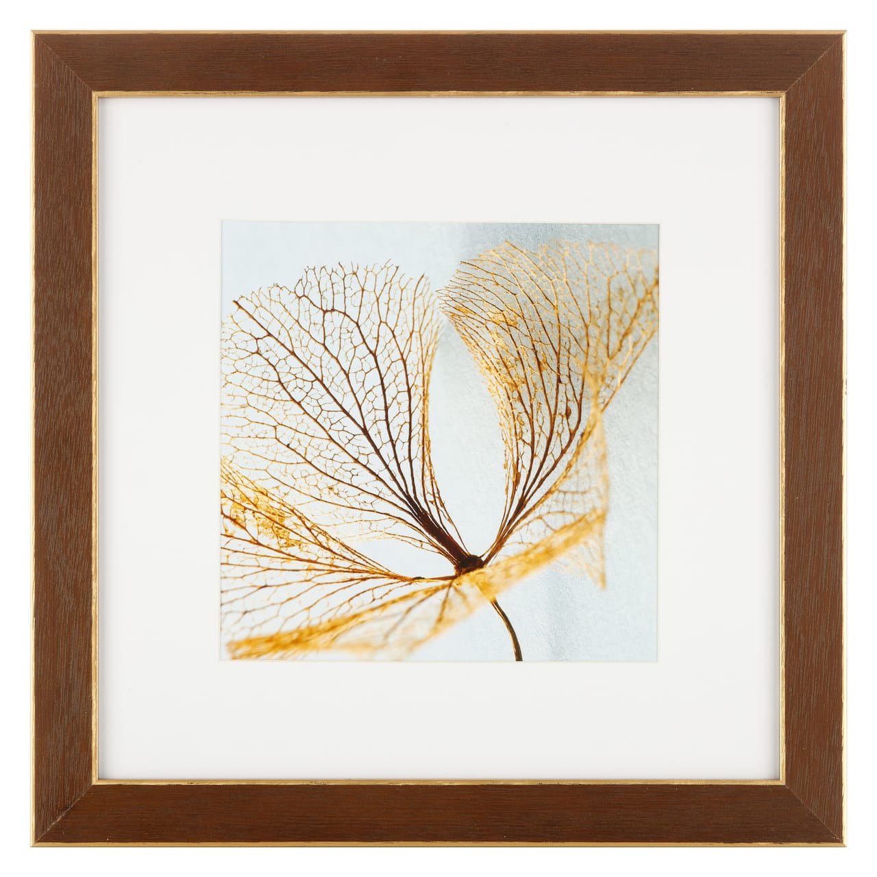 8 Pack: Walnut & Gold Trim Frame with Mat, Gallery by Studio Décor®